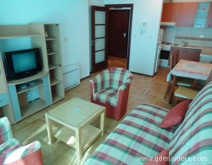 Stan Budva, private accommodation in city Budva, Montenegro